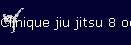 Clinique jiu jitsu 8 octobre 2010